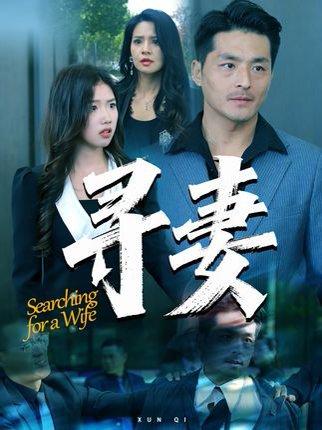 寻妻（70集）封面图 - 都市情感短剧