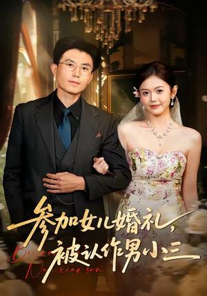 参加女儿婚礼，被认作男小三（36集）单华清＆姚婉婷（夸克网盘）封面图 - 短剧短剧
