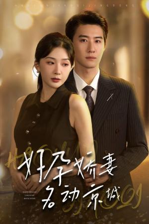 好孕娇妻名动京城（32集）赵振栋＆初五（夸克网盘）封面图 - 短剧短剧