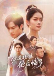 分道扬镳，他后悔了（64集）许东哲&林鹿封面图 - 都市短剧