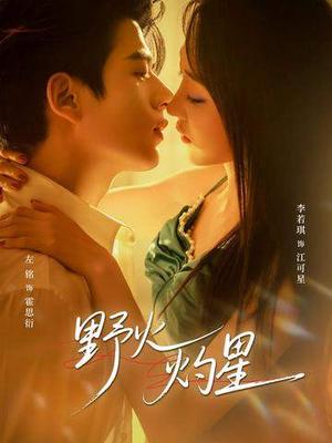 野火灼星（56集）左铭＆李若琪（夸克网盘）封面图 - 爱情短剧