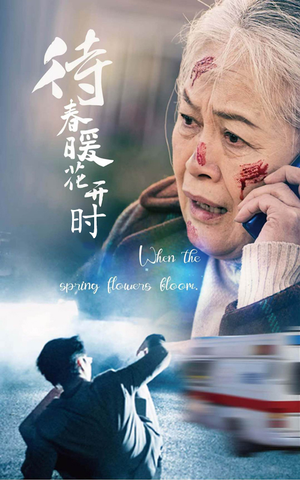 《待春暖花开时（43集）》短剧封面