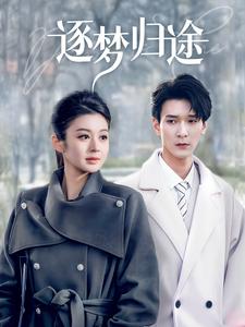 逐梦归途（60集）孙博文＆唐雪晴（夸克网盘）封面图 - 励志短剧