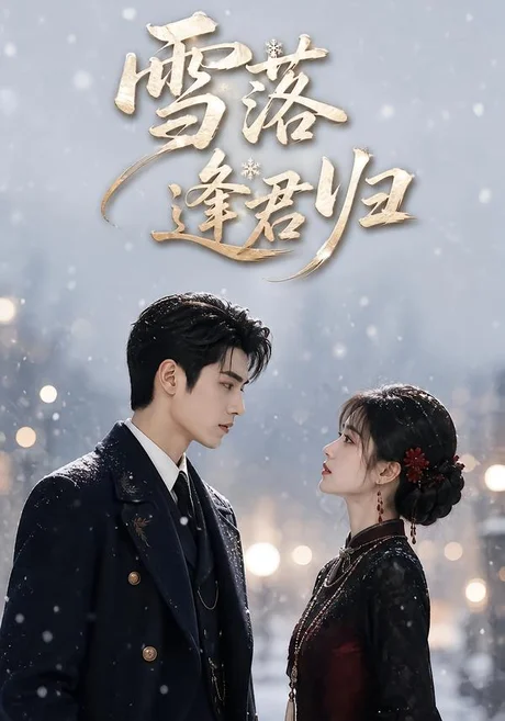 《雪落逢君归（116集）（夸克网盘）》短剧封面