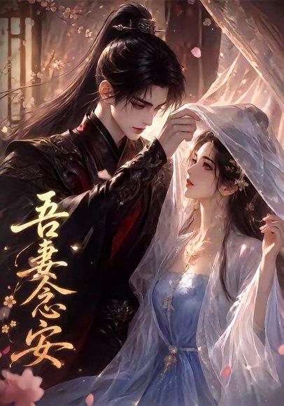 吾妻念安（24集）（百度网盘）封面