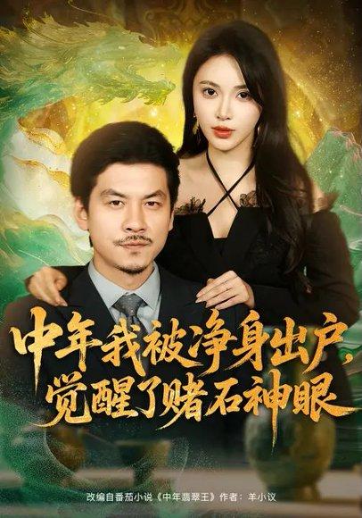 中年我被净身出户，觉醒了赌石神眼（80集）柯珂＆王辉封面图 - 都市短剧