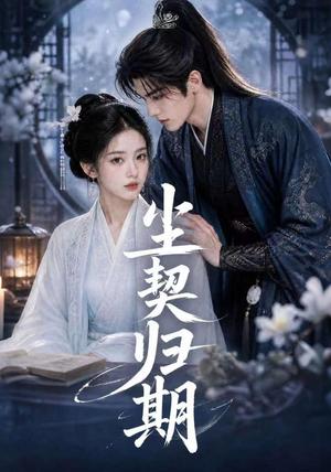 尘契归期(63集)(夸克网盘) 尘契归期(63集)(夸克网盘)封面