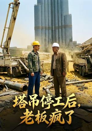 塔吊停工后老板疯了（52集）（夸克网盘）封面图 - 短剧短剧