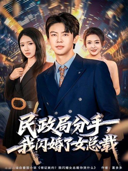 民政局分手，我闪婚了女总裁（72集）封面图 - 都市短剧