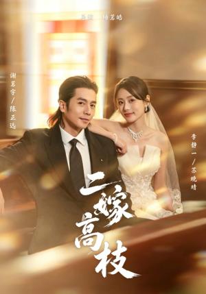《二嫁高枝（71集）谢茗宇＆李静一（夸克网盘）》短剧封面