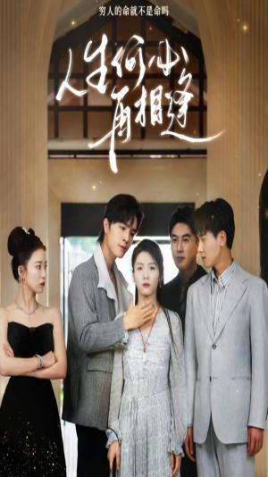 冒牌夫妇（73集）（夸克网盘）封面图 - 短剧短剧