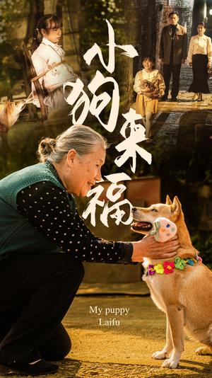 小狗来福（30集）（夸克网盘）封面图 - 家庭短剧