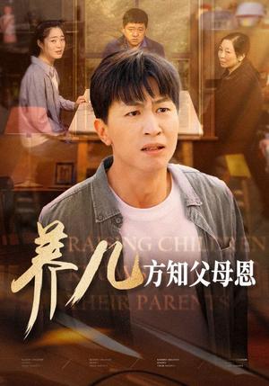 养儿方知父母恩（48集）（夸克网盘）封面
