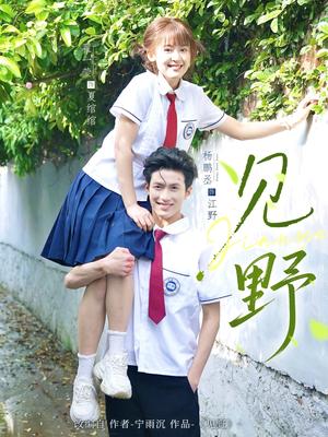 见野（79集）杨鹏丞＆翟一莹（夸克网盘）封面图 - 短剧短剧