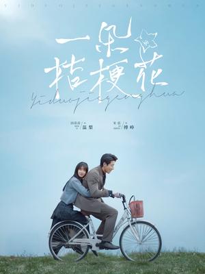 一朵桔梗花（71集）宋晨＆田苗苗（夸克网盘）封面图 - 爱情短剧