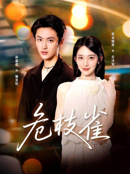 《危枝雀》短剧封面