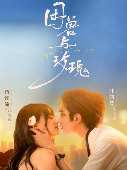 困兽与玫瑰（90集）封面图 - 剧情短剧