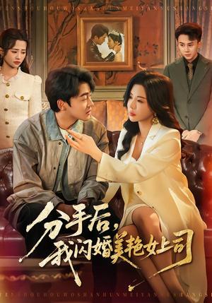 擦边短剧：分手后，我闪婚美艳女上司（62集）涂蕊＆王鑫源（夸克网盘）封面图 - 短剧短剧