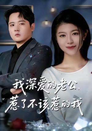 我深爱的老公，惹了不该惹的我（60集）白龙＆韩严非（夸克网盘）封面图 - 短剧短剧
