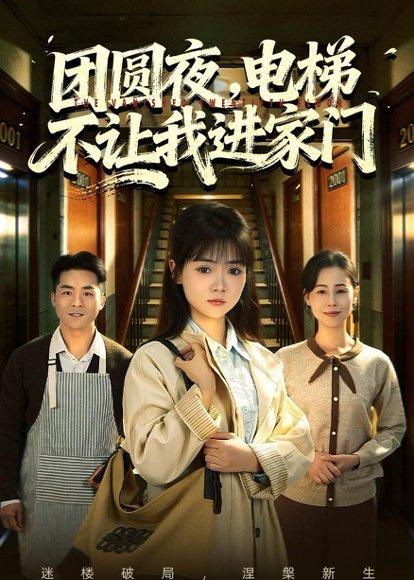 团圆夜，电梯不让我进家门（52集）林鹿&周舒然（百度网盘）封面图 - 家庭短剧