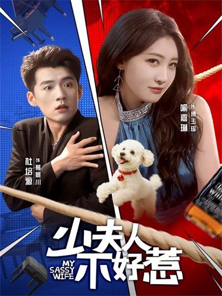 少夫人不好惹（61集）封面图 - 剧情短剧