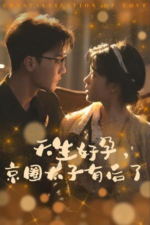 天生好孕京圈太子有后了&你与光共落人间（30集）杜亚飞（夸克网盘） - 豪门甜宠短剧封面