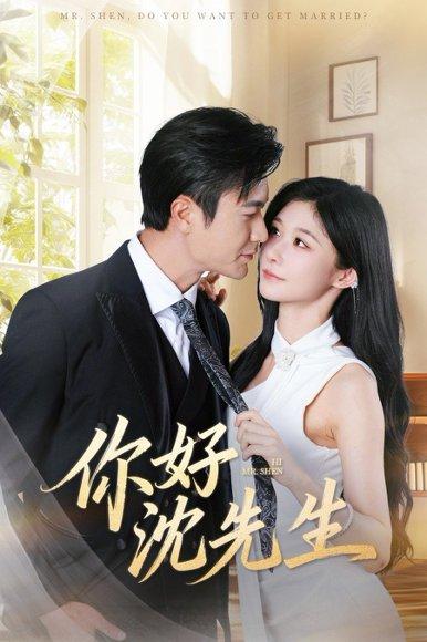 你好沈先生封面