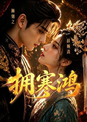 拥寒鸿（21集）（夸克网盘）封面