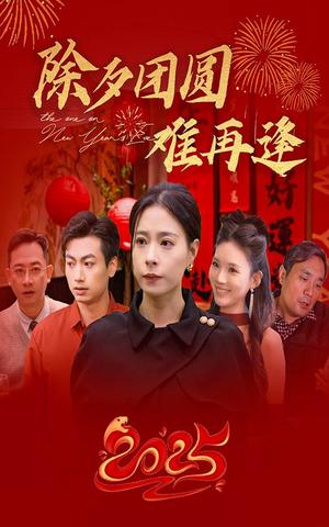 除夕团圆难再逢（54集）（夸克网盘）封面