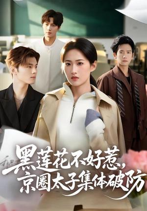黑莲花不好惹，京圈太子集体破防（53集）申晴＆彭瑞风（夸克网盘）封面图 - 都市短剧