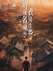 功成名就时衣锦还乡日（60集）（夸克网盘）封面