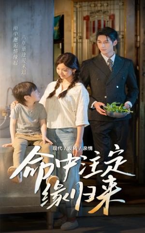 命中注定缘归来（63集）戚羽佳&马千欢封面图 - 都市短剧