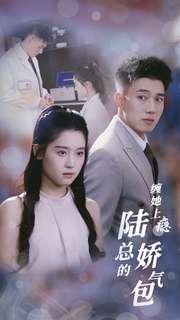 科技让我原地起飞（68集）（夸克网盘）封面图 - 短剧短剧