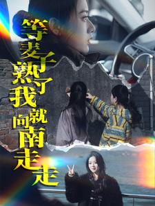 等麦子熟了我就向南走走（41集）（夸克网盘）封面图 - 乡村短剧