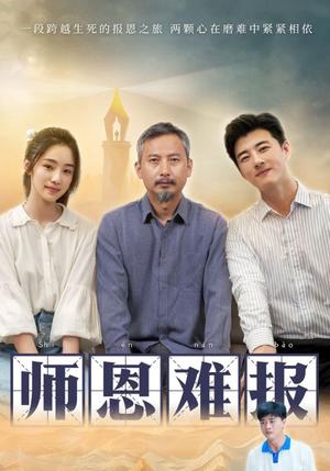 糟糠之妻（45集）（夸克网盘）封面图 - 短剧短剧