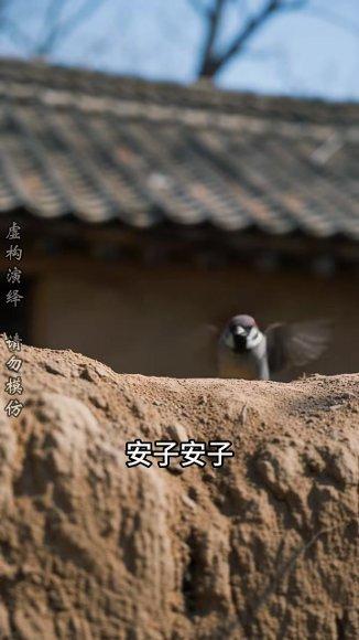 《重生六七：赶山狩猎养全家（108集）Ai短剧（百度网盘）》短剧封面