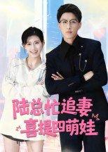 陆总忙追妻，喜提四萌娃封面图 - 爱情短剧