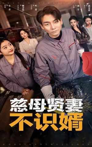 慈母贤妻不识婿（45集）（夸克网盘）封面图 - 家庭伦理短剧