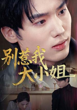 别惹我大小姐（40集）（夸克网盘）封面图 - 都市短剧