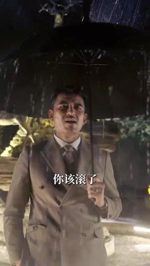 她像飓风过境（81集）象韵洁&杨寒封面图 - 都市短剧