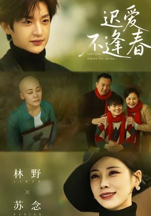 迟爱不逢春（62集）魏澊＆钟小淇（夸克网盘）封面图 - 情感短剧