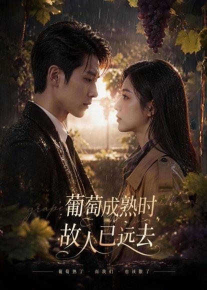 葡萄成熟时,故人已远去(53集)(百度网盘) 葡萄成熟时,故人已远去(53集)(百度网盘)封面