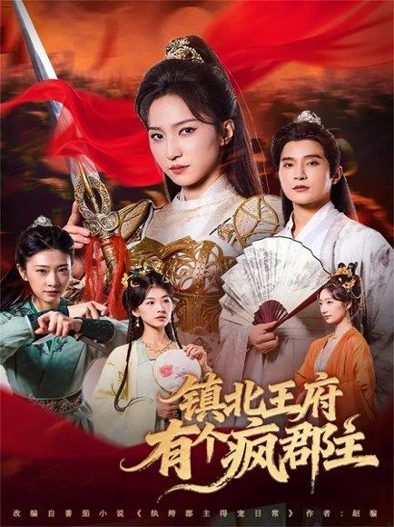 镇北王府有个疯郡主（74集）封面图 - 古装短剧
