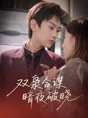 双枭合谋暗夜破晓（30集）刘松涛&刘安然（夸克网盘）封面图 - 短剧短剧