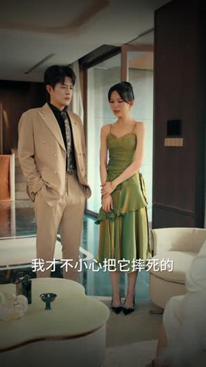 离婚后，傲娇爹地求复合（66集）王朝阳＆刘亚倩（夸克网盘）封面图 - 校园爱情短剧