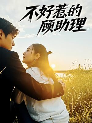 不好惹的顾助理（67集）孟祥鑫＆李雪阳（夸克网盘）封面图 - 短剧短剧