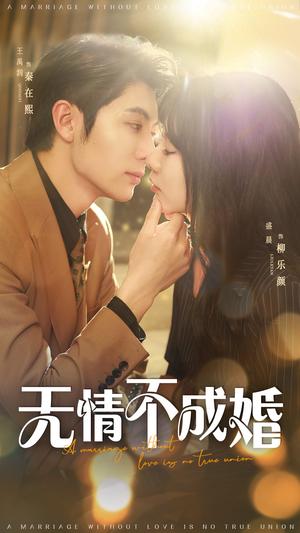 无情不成婚（70集）王子林&盛晨（夸克网盘）封面图 - 短剧短剧