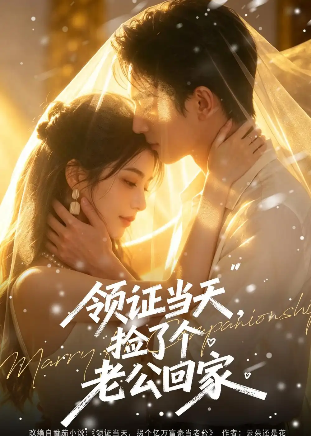 《领证当天,捡了个老公回家(80集)(夸克网盘)》短剧封面