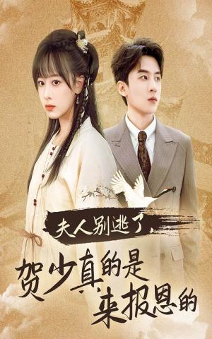 夫人别逃了贺少真的是来报恩的（63集）（夸克网盘）封面图 - 短剧短剧