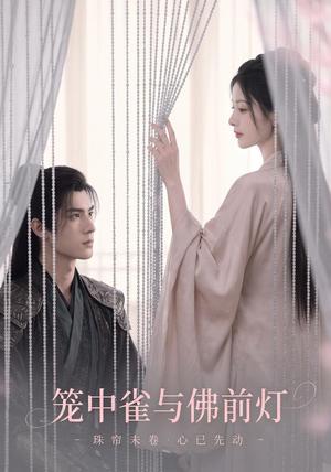 笼中雀与佛前灯 《笼中雀与佛前灯》短剧封面